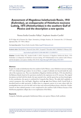 An Endoparasite of Holothuria Mexicana Ludwig, 1875 (Holothuriidae) in the Southern Gulf of Mexico and the Description a New Species