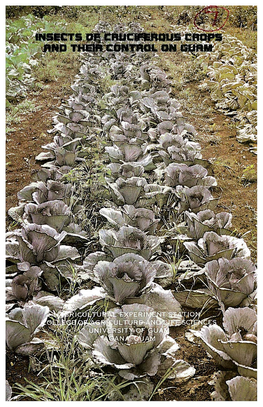 Insects of Cruciferous Crops and Their Control on Guam L.M