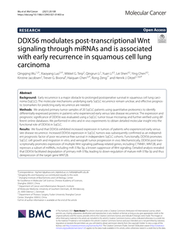 DDX56 Modulates Post-Transcriptional Wnt Signaling