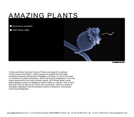 Amazing Plants