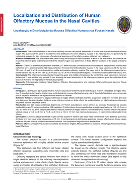 Localization and Distribution of Human Olfactory Mucosa in the Nasal Cavities