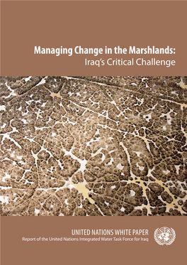 Managing Change in the Marshlands: Iraq's Critical Challenge