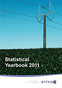 Statistical Yearbook 2011