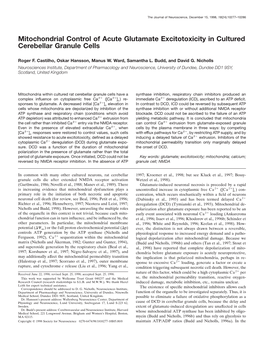 Mitochondrial Control of Acute Glutamate Excitotoxicity in Cultured Cerebellar Granule Cells