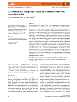 A Comparative Ontogenetic Study of the Tetraodontiform Caudal Complex Peter Konstantinidis1 and G