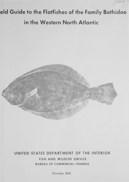 Eld Guide to the Flatfishes of the Family Bothidae in the Western North Atlantic