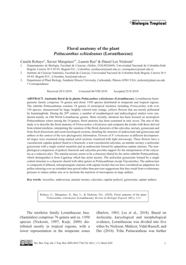 Floral Anatomy of the Plant Psittacanthus Schiedeanus (Loranthaceae)