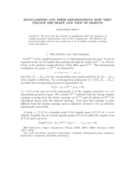 Singularities and Their Deformations: How They Change the Shape and View of Objects