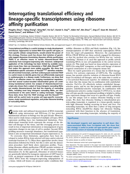 Interrogating Translational Efficiency and Lineage-Specific Transcriptomes