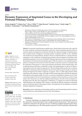 Dynamic Expression of Imprinted Genes in the Developing and Postnatal Pituitary Gland
