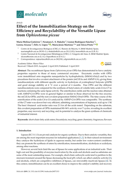 Effect of the Immobilization Strategy on the Efficiency and Recyclability