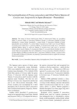 The Lectotypification of Prunus Jamasakura and Allied Native