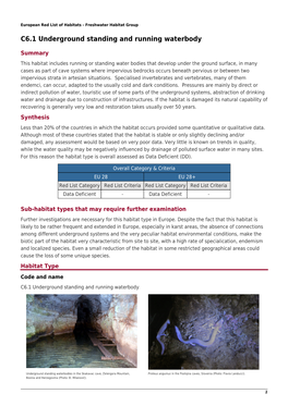 C6.1 Underground Standing and Running Waterbody