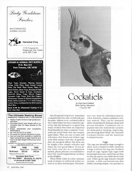 Cockatiels by Dale David Dewald Silver Spring, Maryland ©Copyright 1986