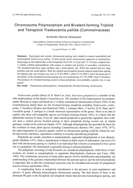 Chromosome Polymorphism and Bivalent-Forming Triploid and Tetraploid Tradescantia Pallida (Commelinaceae)