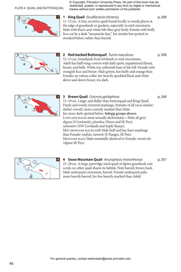 Birds of New Guinea, Second Edition, Sample Plate