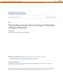 The Northeast Insula and Late Antique Christianity at Hippos Palaistines