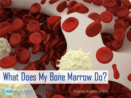 What Does My Bone Marrow Do?