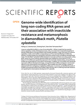 Genome-Wide Identification of Long Non-Coding RNA Genes and Their