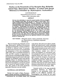 Studies on the Parasitoids of Tea Mosquito Bug, Helopeltis Antonii Sign