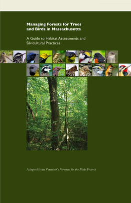 Managing Forests for Trees and Birds in Massachusetts