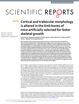 Cortical and Trabecular Morphology Is Altered in the Limb Bones of Mice Artificially Selected for Faster Skeletal Growth