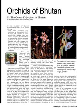 Orchids of Bhutan III: the Genus Epipogium in Bhutan by Stig Dalström and Dhan Bahadur Gurung