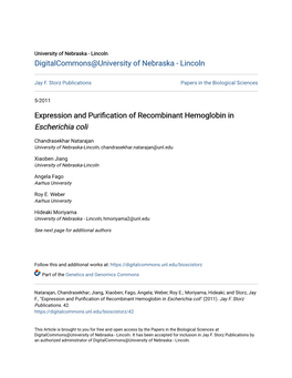 Expression and Purification of Recombinant Hemoglobin in Escherichia Coli