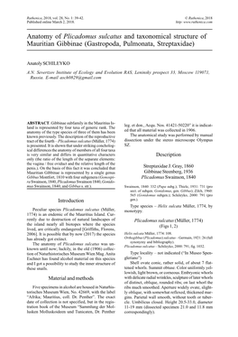 Plicadomus Sulcatus and Taxonomical Structure of Mauritian Gibbinae (Gastropoda, Pulmonata, Streptaxidae)