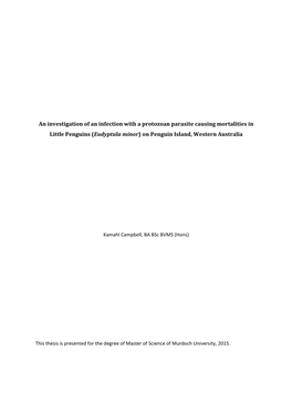 An Investigation of an Infection with a Protozoan Parasite Causing Mortalities in Little Penguins (Eudyptula Minor) on Penguin Island, Western Australia