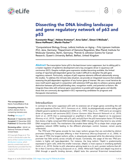 Dissecting the DNA Binding Landscape and Gene Regulatory