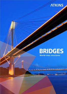 Bridges Brochure