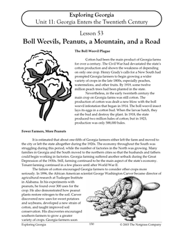 Boll Weevils, Peanuts, a Mountain, and a Road