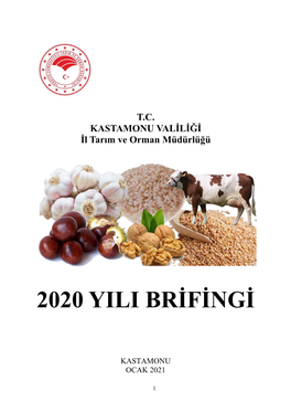 2020 Yili Brifingi