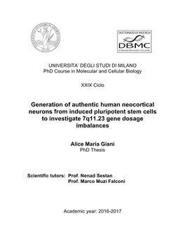 Generation of Authentic Human Neocortical Neurons from Induced Pluripotent Stem Cells to Investigate 7Q11.23 Gene Dosage Imbalances