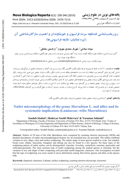 Nutlet Micromorphology of the Genus Marrubium L