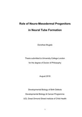 Role of Neuro-Mesodermal Progenitors in Neural Tube Formation