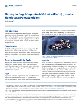 Harlequin Bug, Murgantia Histrionica (Hahn) (Insecta: Hemiptera: Pentatomidae)1 M