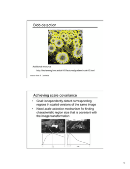 Blob Detection Achieving Scale Covariance