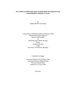 The Cellular and Molecular Basis of Multicellular Development in the Choanoflagellate Salpingoeca Rosetta