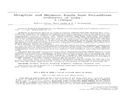 Metaphyte and Metazoan Fossils from Precambrian Sediments of India a Critique