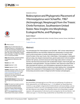 Redescription and Phylogenetic Placement Of