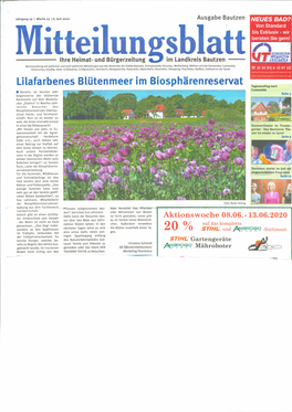 Lilafarbenes Blüten Meer Im Biosphären Reservat