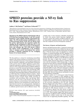 SPRED Proteins Provide a NF-Ty Link to Ras Suppression