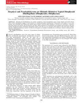 Sinophysis and Pseudophalacroma Are Distantly Related to Typical Dinophysoid Dinoflagellates (Dinophysales, Dinophyceae)