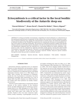 Ectosymbiosis Is a Critical Factor in the Local Benthic Biodiversity of the Antarctic Deep Sea