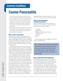 Canine Pancreatitis? Is What • • • • Canine Pancreatitis Future Episodes of Pancreatitis