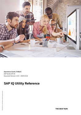 SAP IQ Utility Reference Company