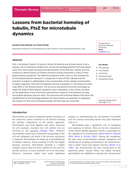 Lessons from Bacterial Homolog of Tubulin, Ftsz for Microtubule Dynamics