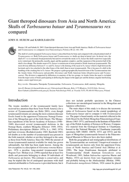 Skulls of Tarbosaurus Bataar and Tyrannosaurus Rex Compared